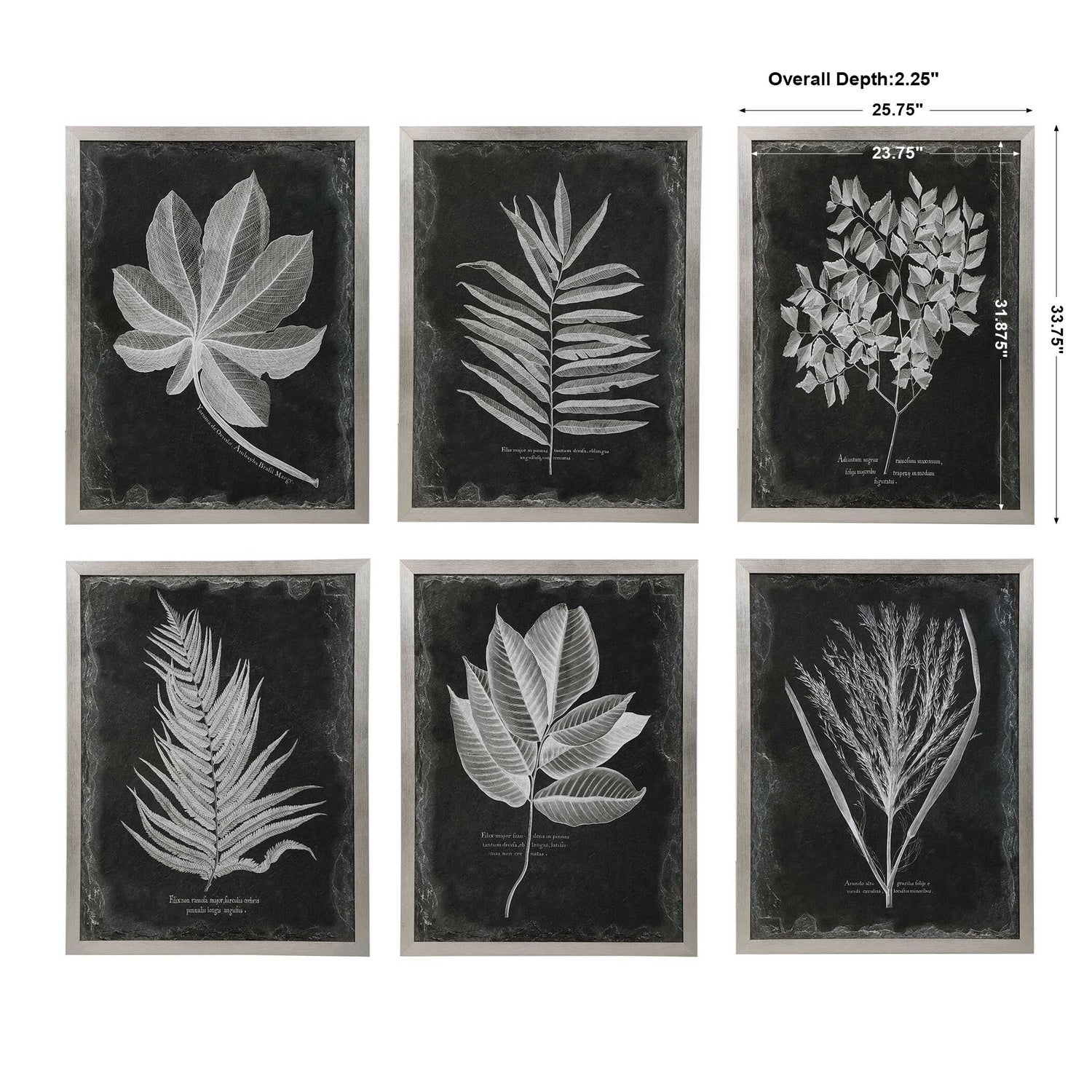 UTTERMOST FOLIAGE FRAMED PRINTS - Art
