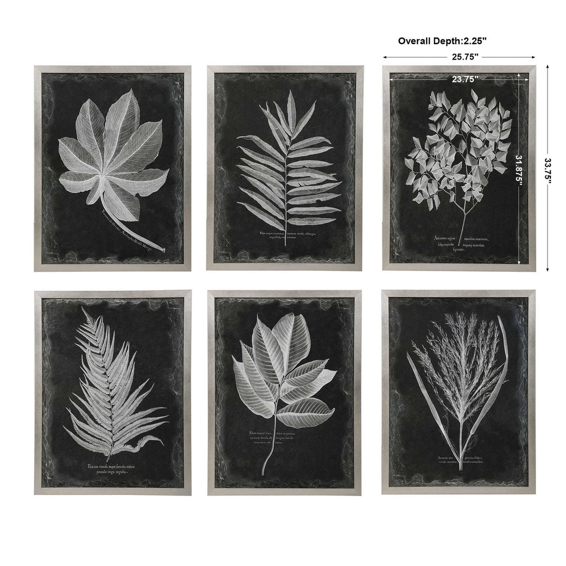 UTTERMOST Foliage Framed Prints Set Of 6 - Art