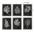 UTTERMOST Foliage Framed Prints Set Of 6 - Art