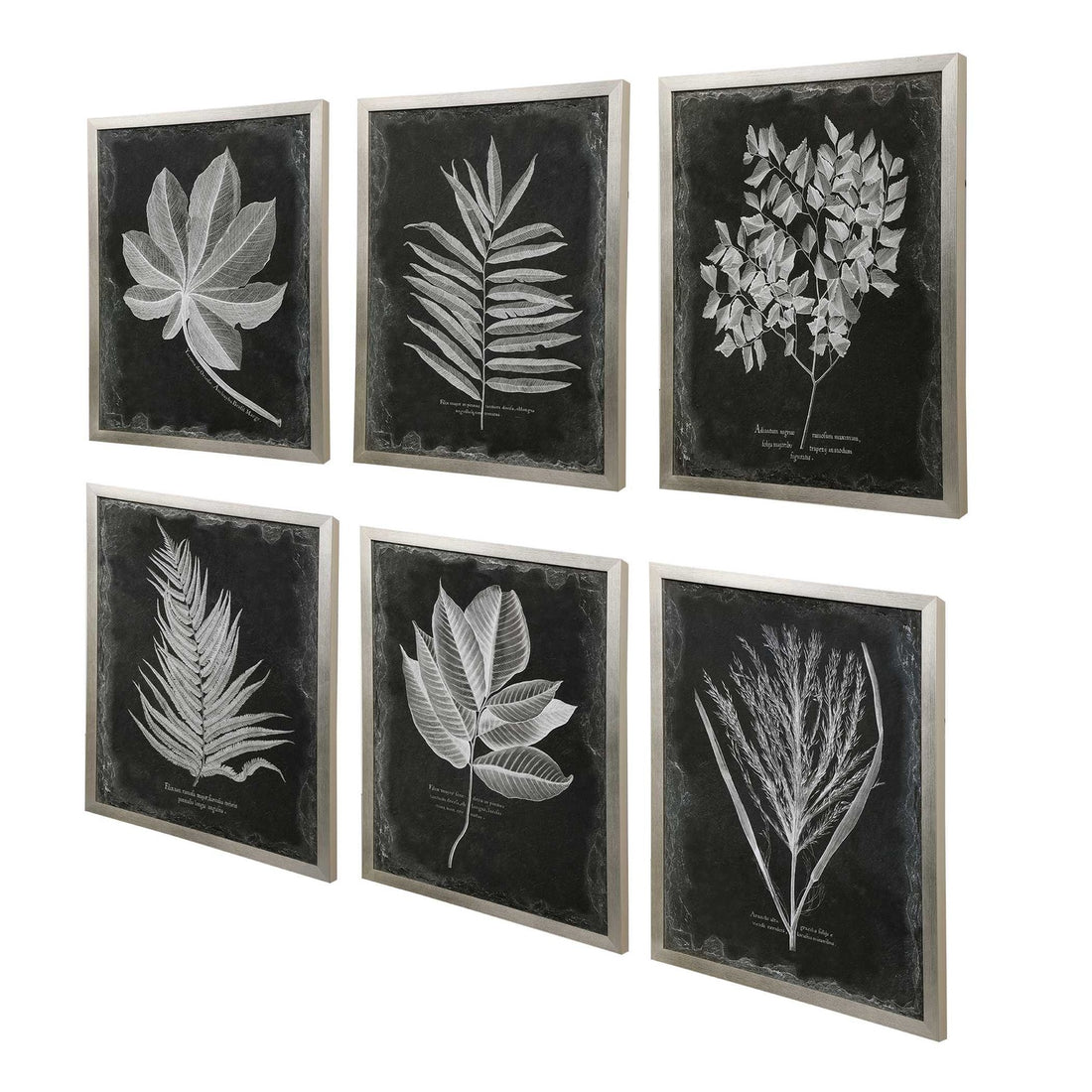 UTTERMOST Foliage Framed Prints Set Of 6 - Art
