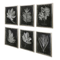 UTTERMOST Foliage Framed Prints Set Of 6 - Art