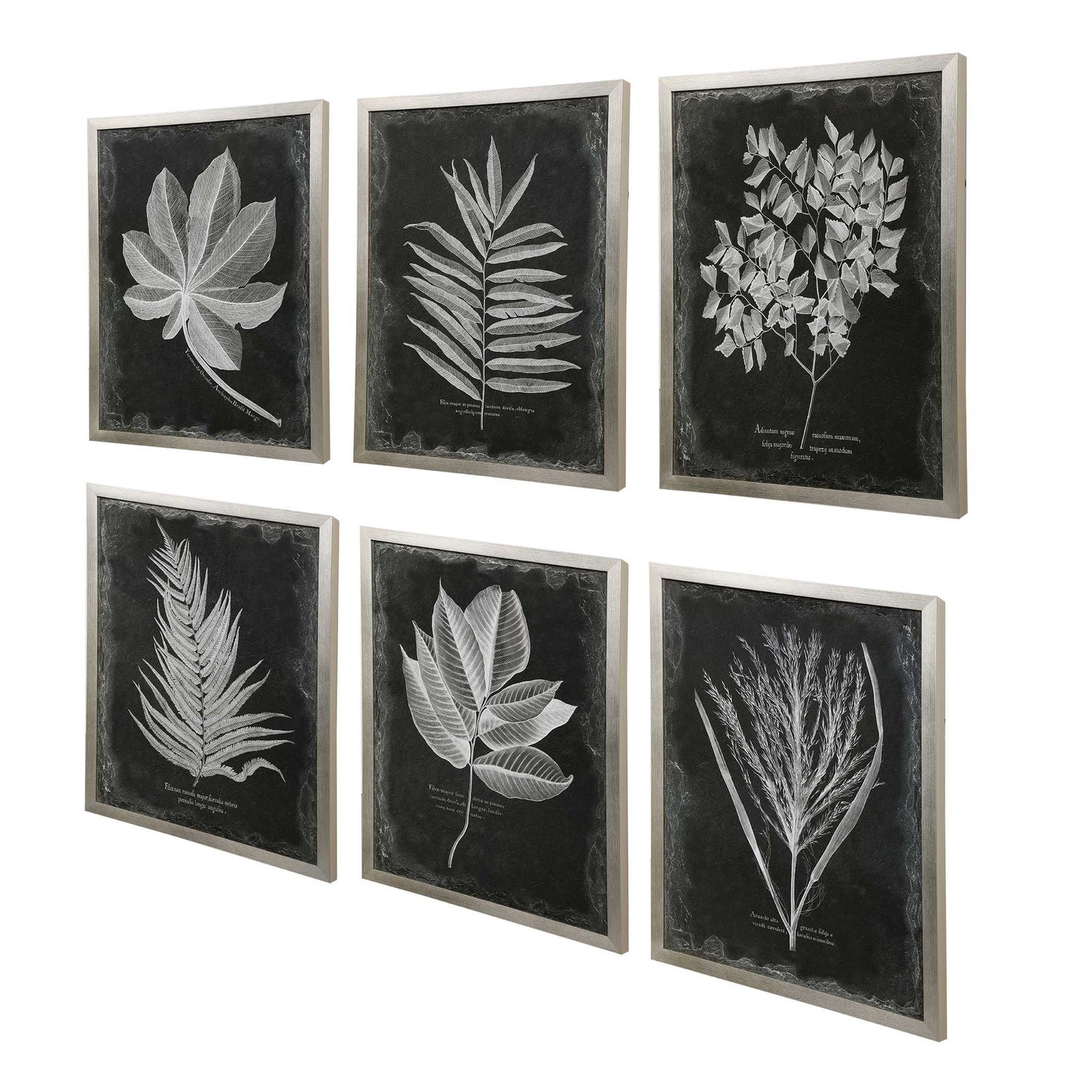 UTTERMOST Foliage Framed Prints Set Of 6 - Art