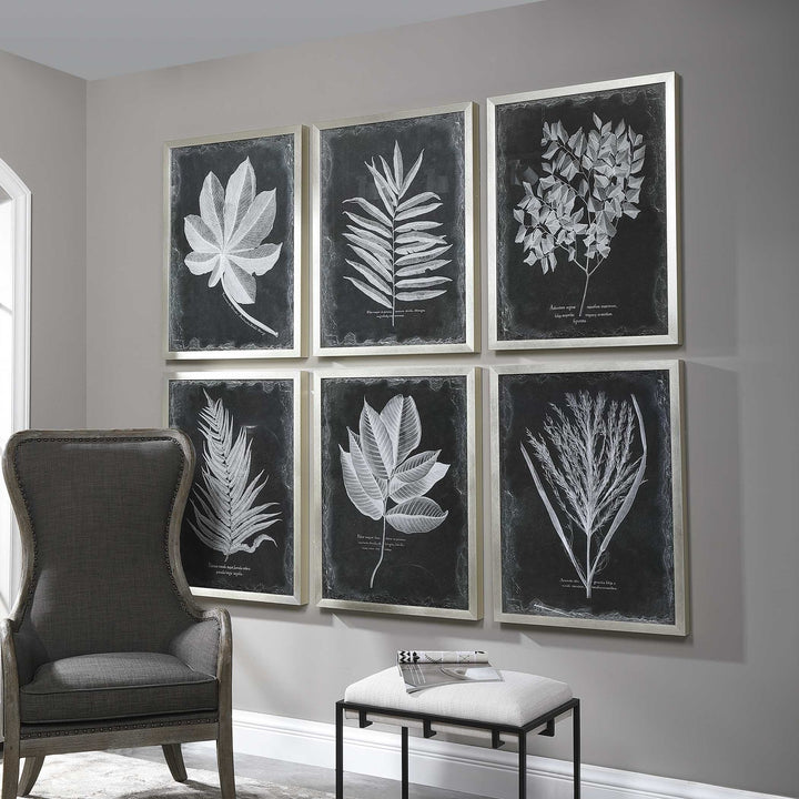 UTTERMOST Foliage Framed Prints Set Of 6 - Art