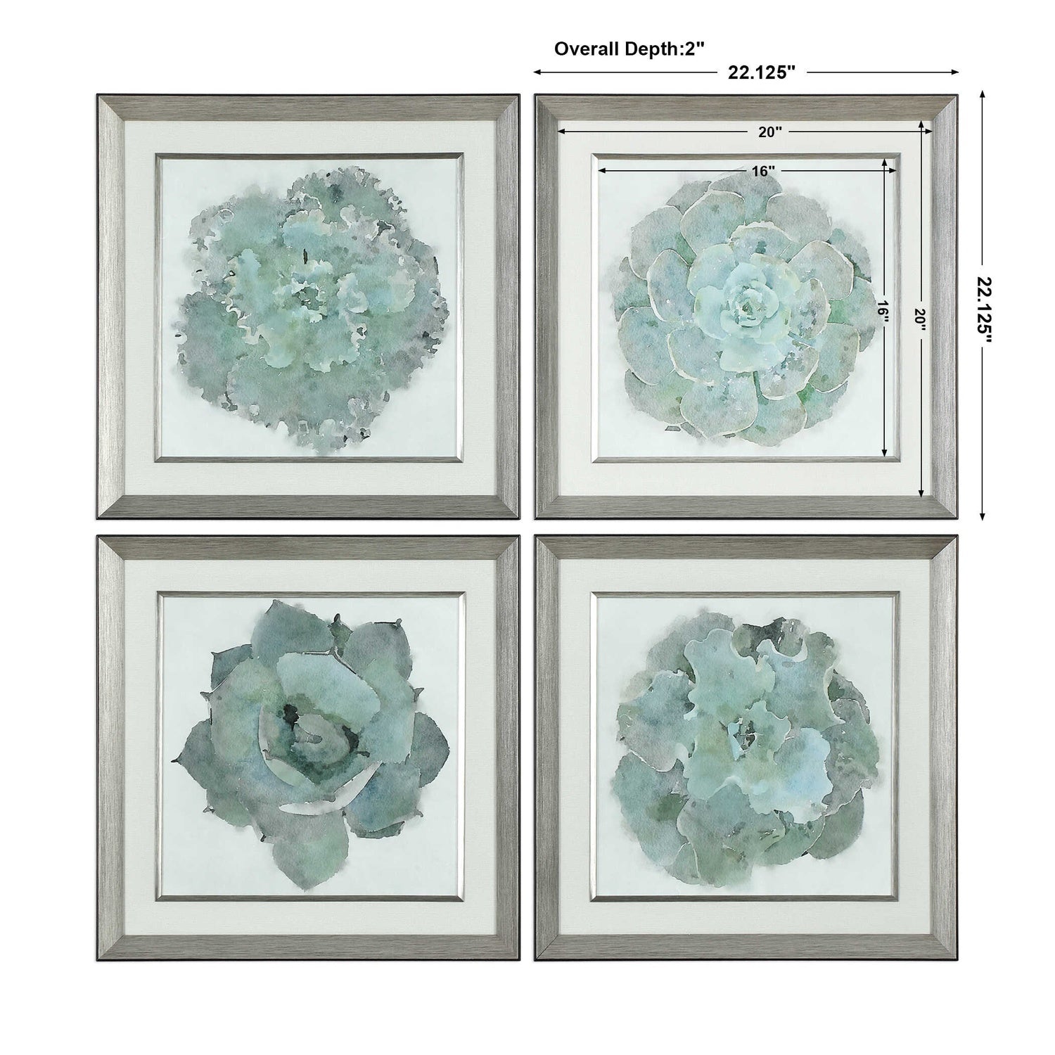 UTTERMOST Beauties Prints Set Of 4 - Art