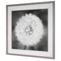 UTTERMOST DANDELION SEEDHEAD FRAMED PRINT - Art