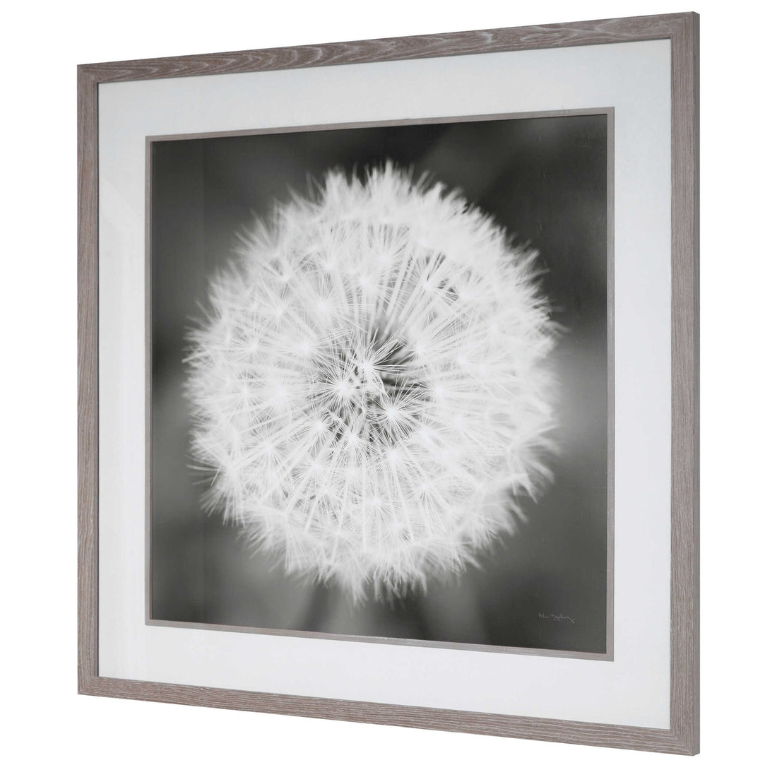 UTTERMOST Dandelion Seedhead Framed Print - Art