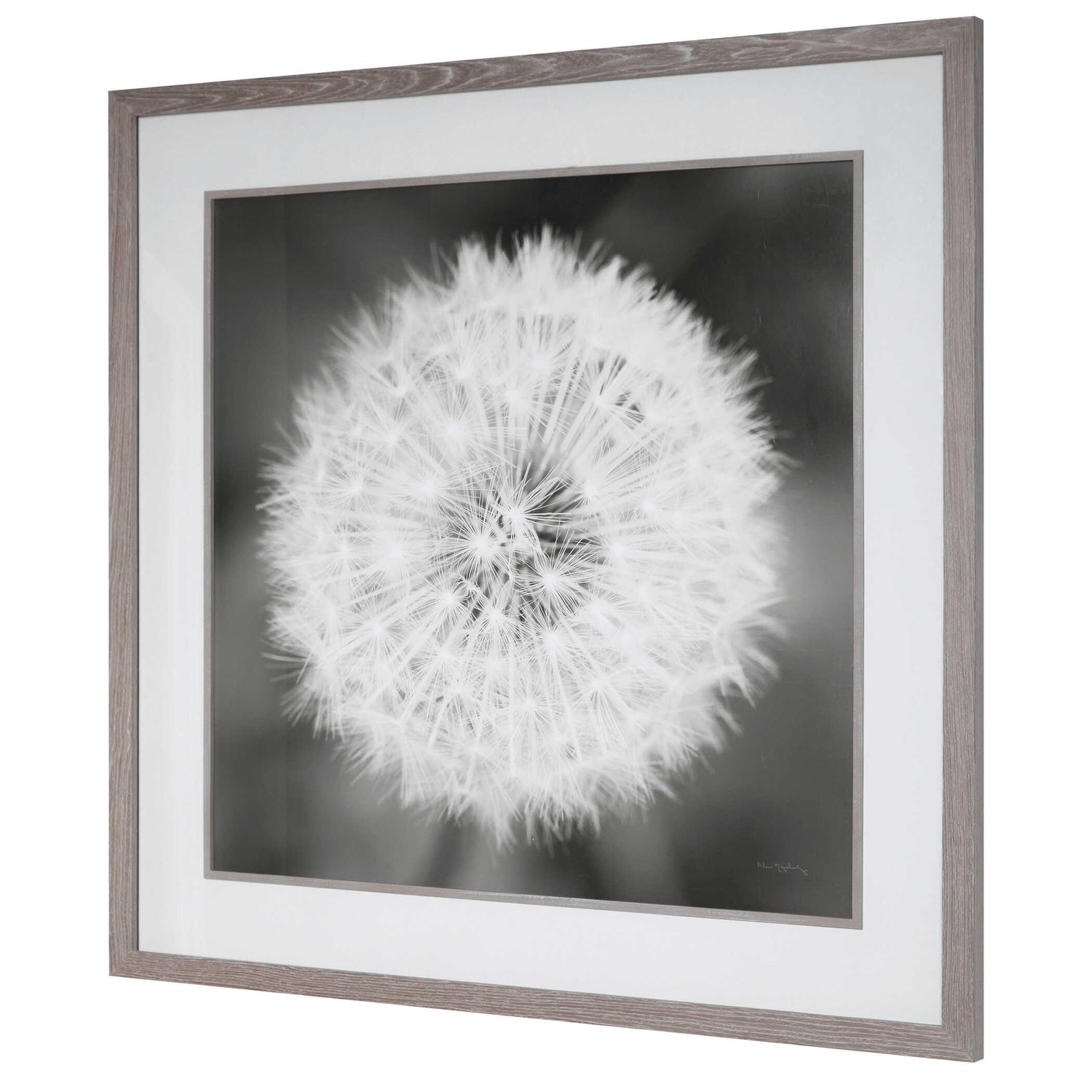UTTERMOST Dandelion Seedhead Framed Print - Art