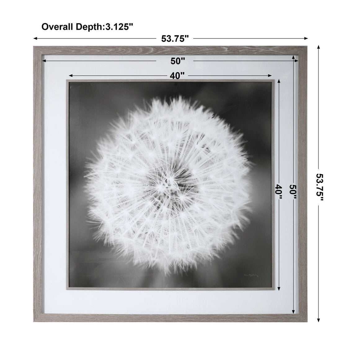 UTTERMOST DANDELION SEEDHEAD FRAMED PRINT - Art