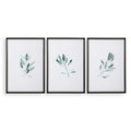 UTTERMOST Simple Sage Watercolor Prints Set Of 3 - Art