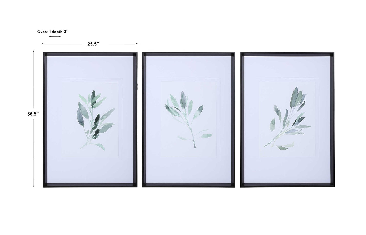 UTTERMOST SIMPLE SAGE WATERCOLOR PRINTS - Art