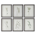UTTERMOST FOREST FINDS FRAMED PRINTS - Art