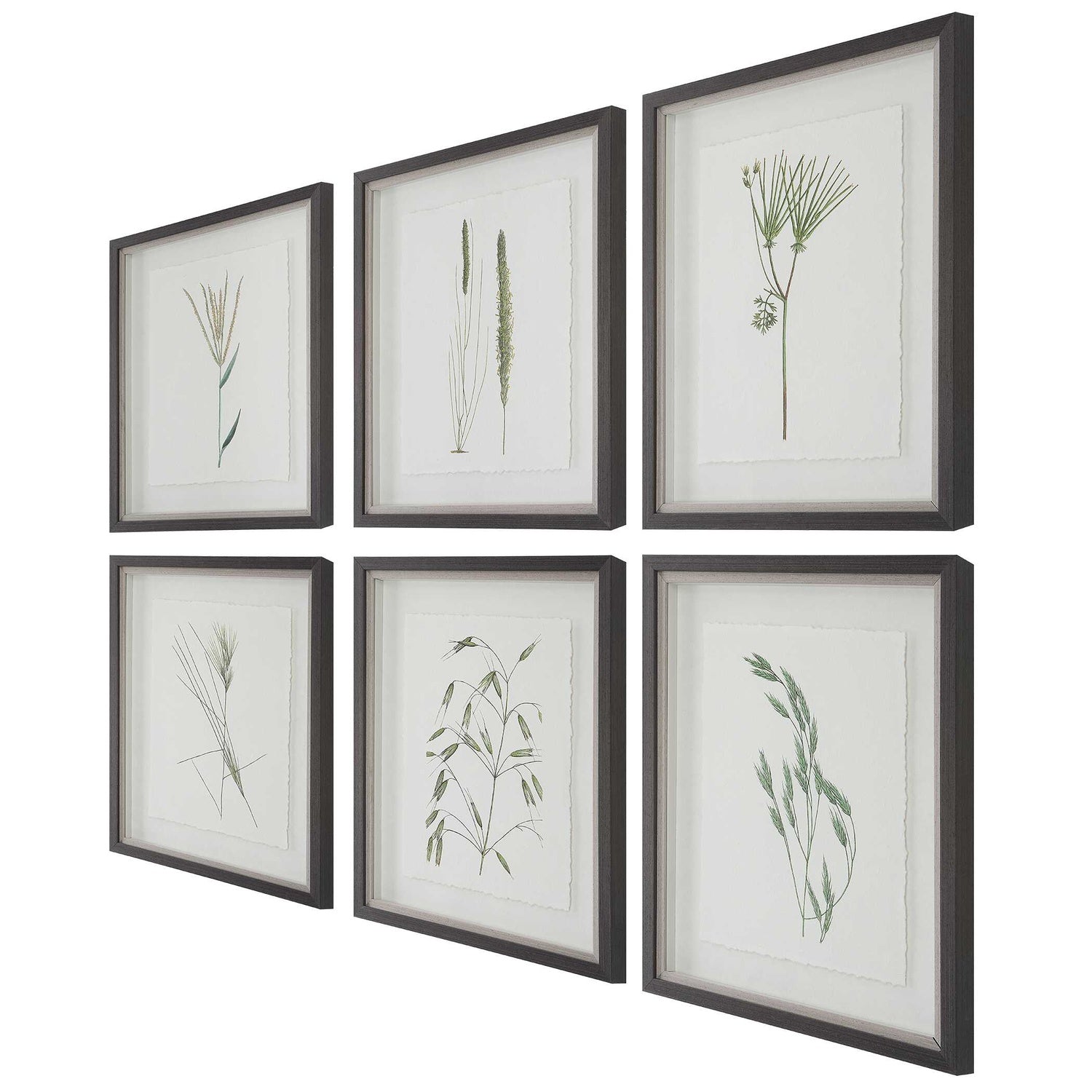 UTTERMOST Forest Finds Framed Prints Set Of 6 - Art