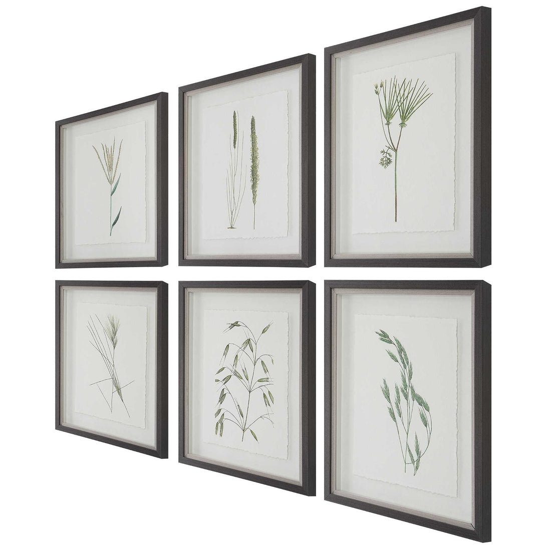 UTTERMOST FOREST FINDS FRAMED PRINTS - Art