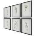 UTTERMOST FOREST FINDS FRAMED PRINTS - Art
