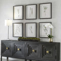 UTTERMOST Forest Finds Framed Prints Set Of 6 - Art