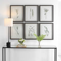 UTTERMOST Forest Finds Framed Prints Set Of 6 - Art