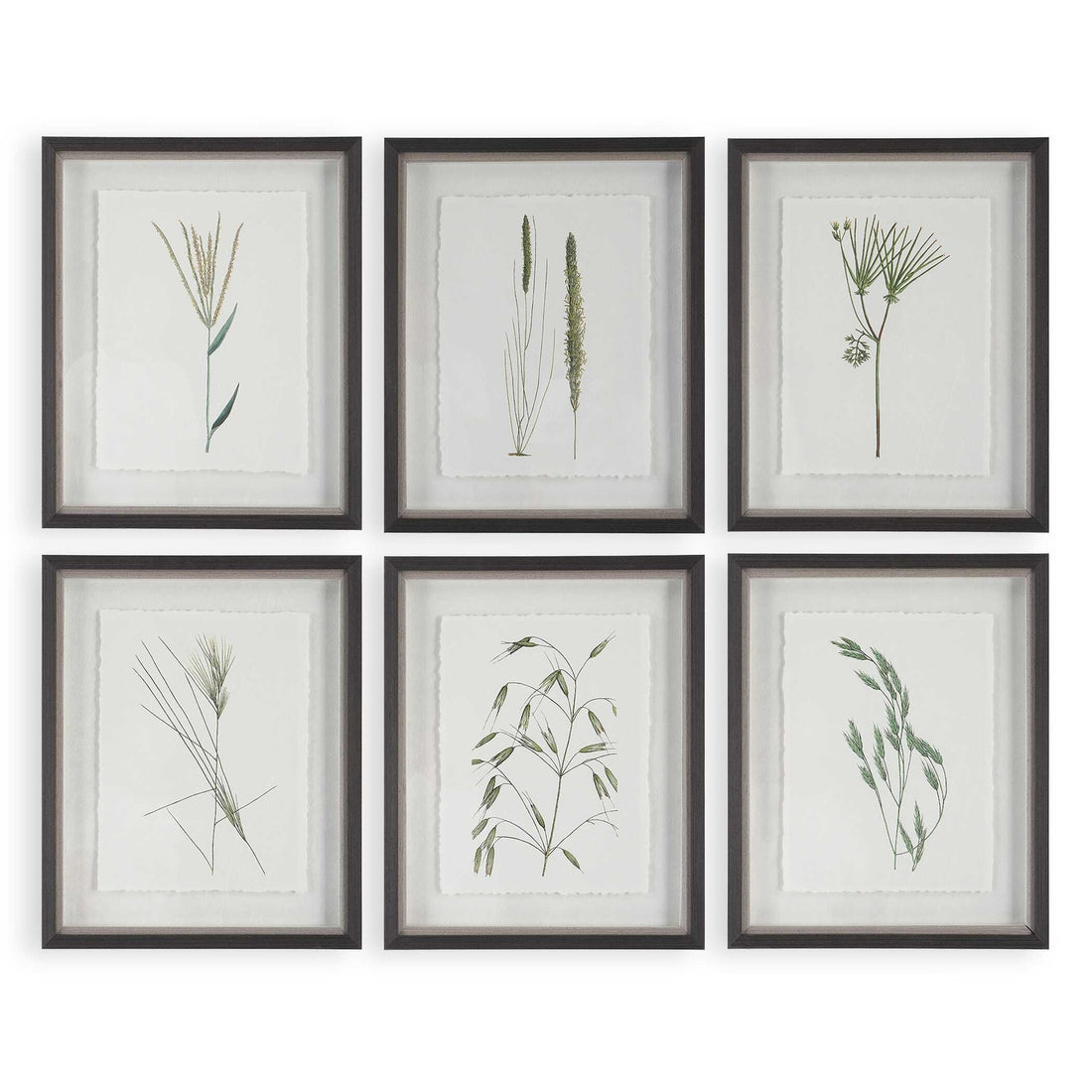 UTTERMOST Forest Finds Framed Prints Set Of 6 - Art