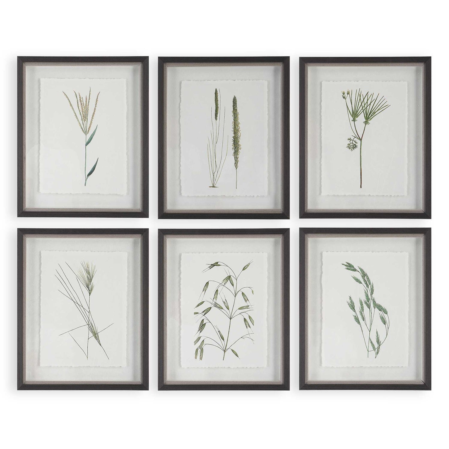 UTTERMOST Forest Finds Framed Prints Set Of 6 - Art