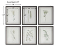 UTTERMOST FOREST FINDS FRAMED PRINTS - Art