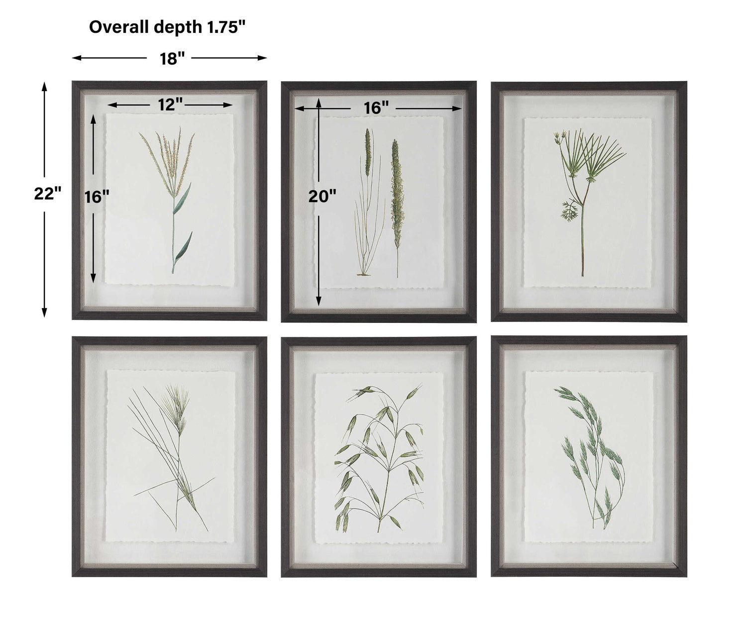 UTTERMOST FOREST FINDS FRAMED PRINTS - Art