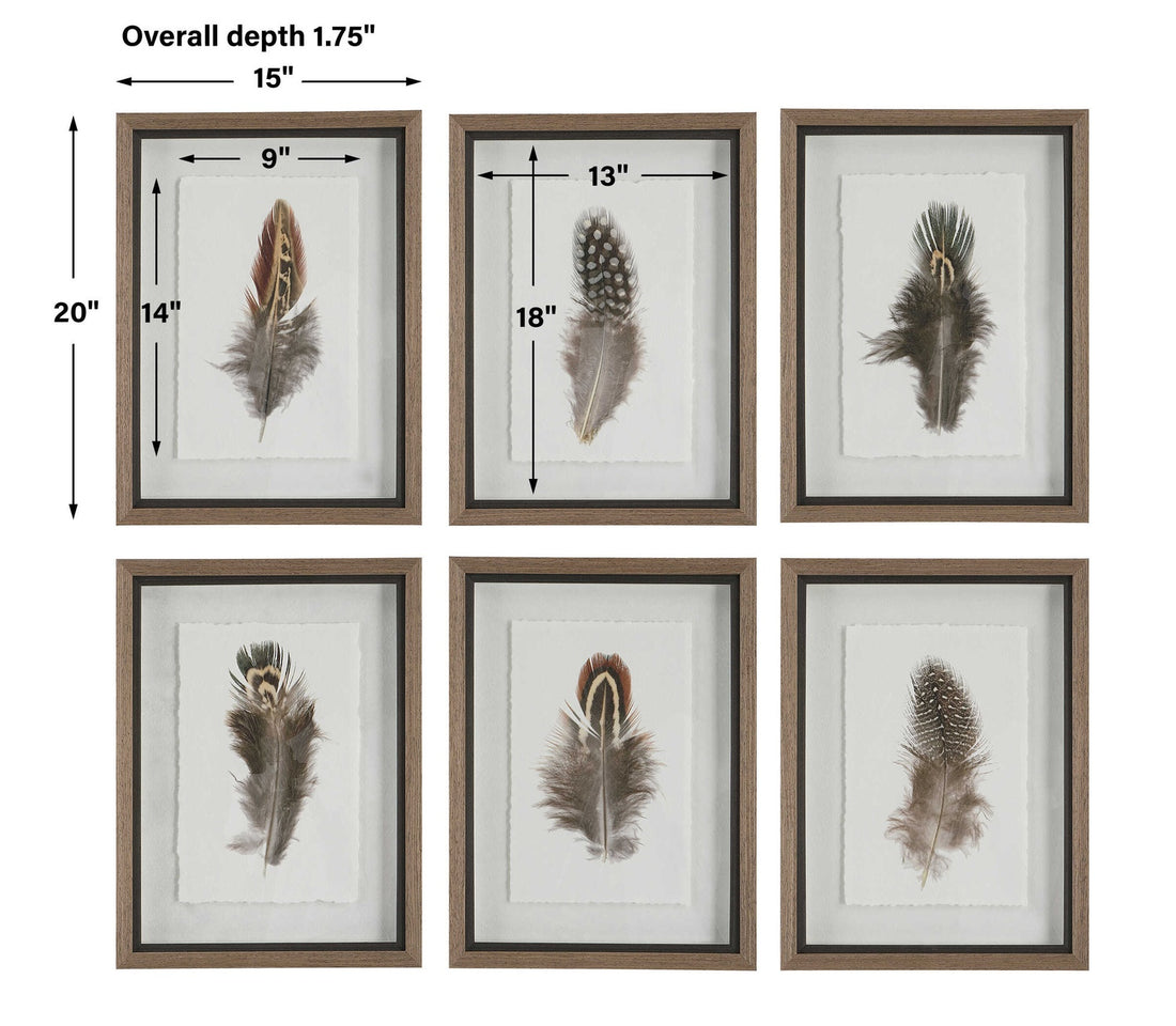 UTTERMOST BIRDS OF A FEATHER FRAMED PRINTS - Art