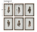 UTTERMOST BIRDS OF A FEATHER FRAMED PRINTS - Art