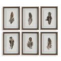 UTTERMOST BIRDS OF A FEATHER FRAMED PRINTS - Art