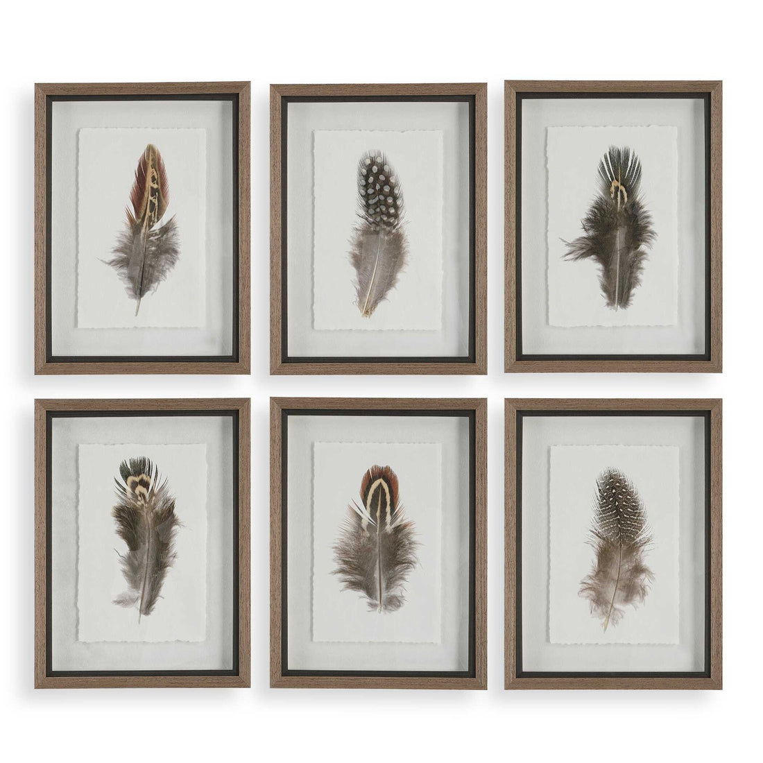 UTTERMOST Birds Of A Feather Framed Prints Set Of 6 - Art