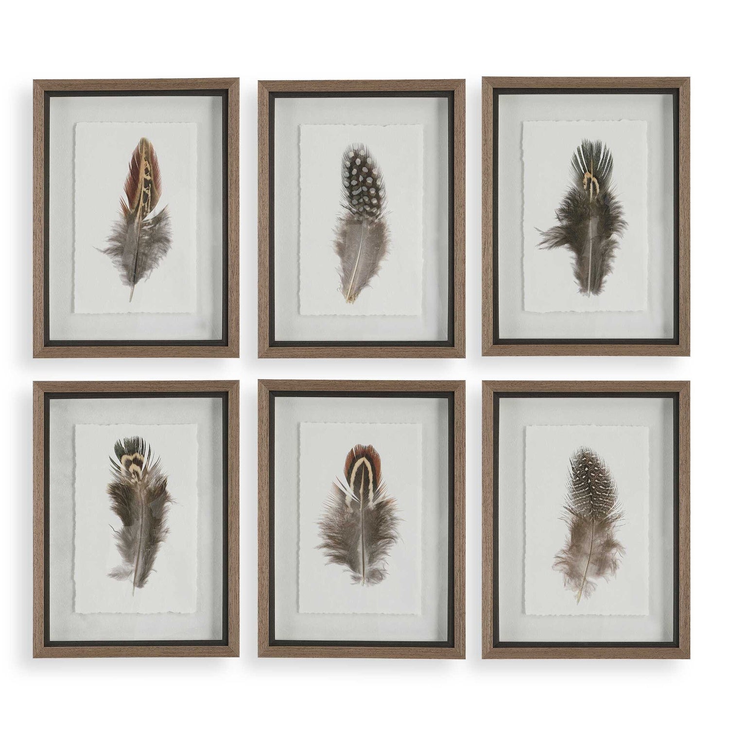 UTTERMOST Birds Of A Feather Framed Prints Set Of 6 - Art