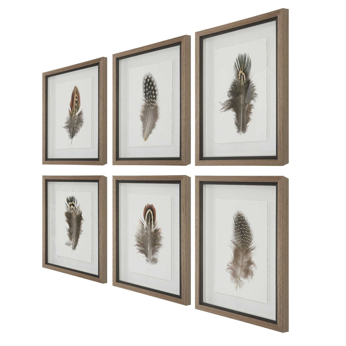 UTTERMOST BIRDS OF A FEATHER FRAMED PRINTS - Art