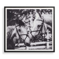 UTTERMOST APPLE OF MY EYE FRAMED PRINT - Art