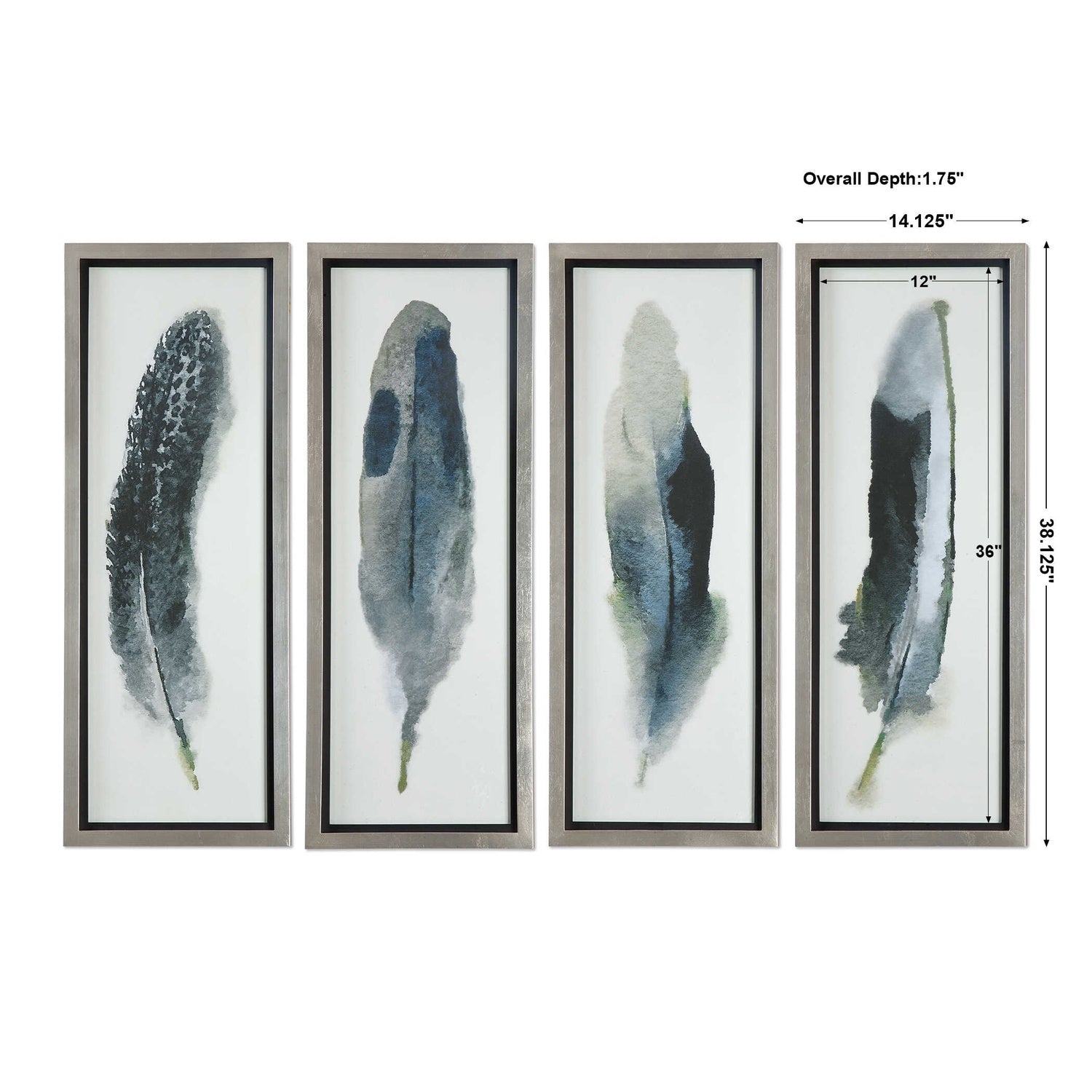 UTTERMOST FEATHERED BEAUTY PRINTS - Art