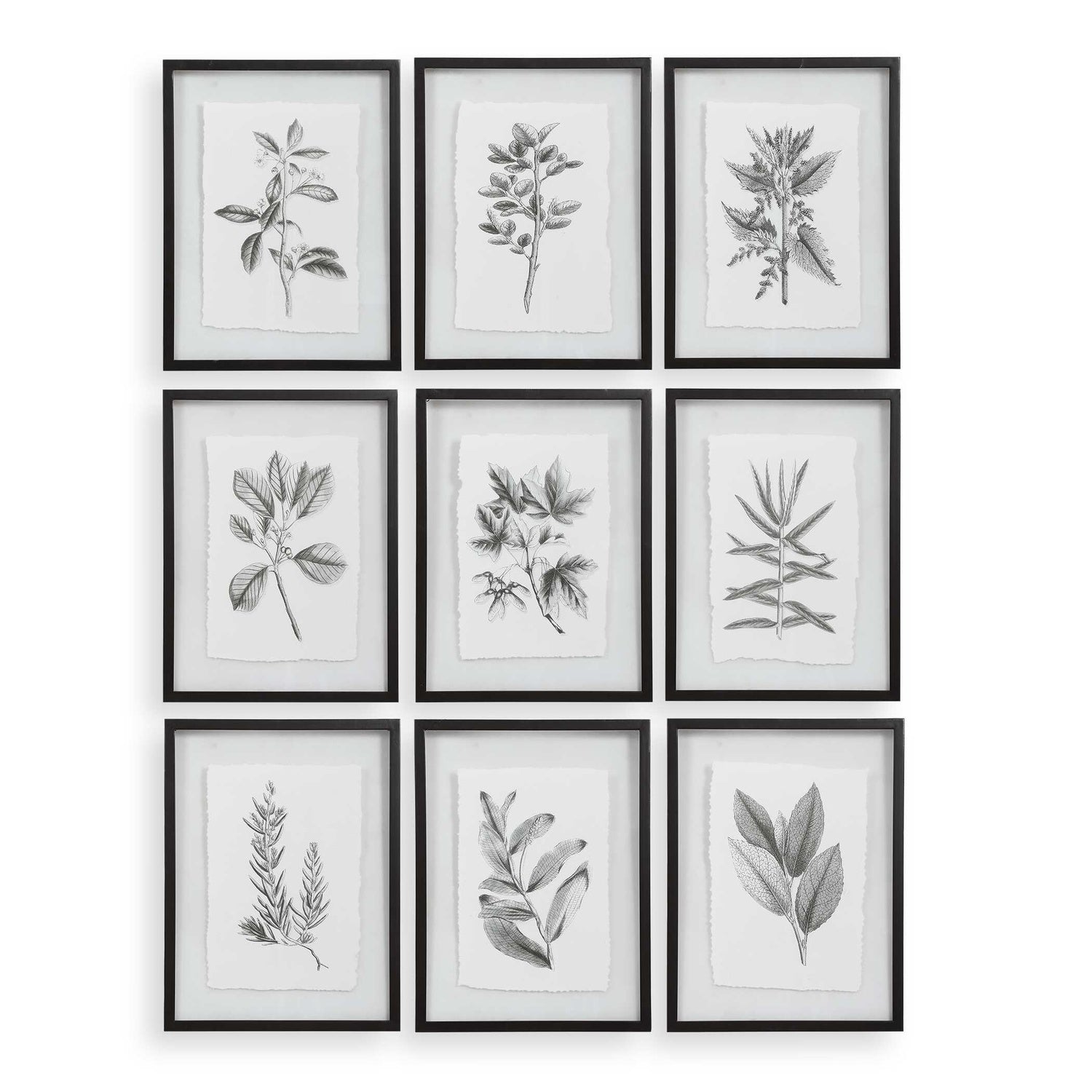 UTTERMOST Farmhouse Florals Framed Prints Set Of 9 - Art