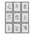 UTTERMOST FARMHOUSE FLORALS FRAMED PRINTS - Art