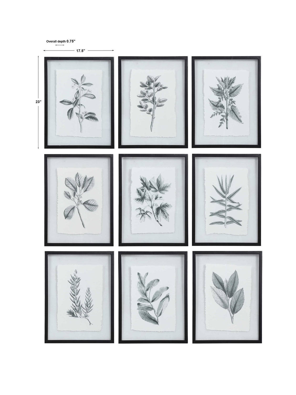 UTTERMOST Farmhouse Florals Framed Prints Set Of 9 - Art