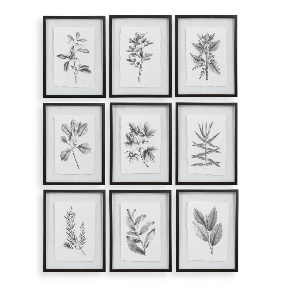 UTTERMOST Farmhouse Florals Framed Prints Set Of 9 - Art