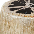 UTTERMOST Arco Petrified Top Accent Table - Decorative Accents