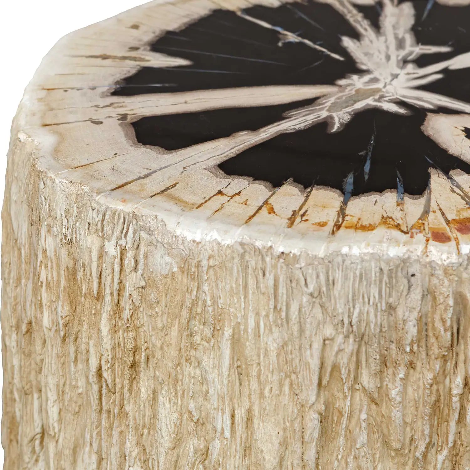 UTTERMOST Arco Petrified Top Accent Table - Decorative Accents