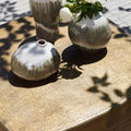 UTTERMOST Saguaro Indoor-Outdoor Coffee Table - Decorative Accents