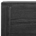UTTERMOST BIERK STAIN 2 DOOR CABINET - Decorative Accents