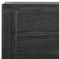 UTTERMOST Bierk Stain 2 Door Cabinet - Decorative Accents