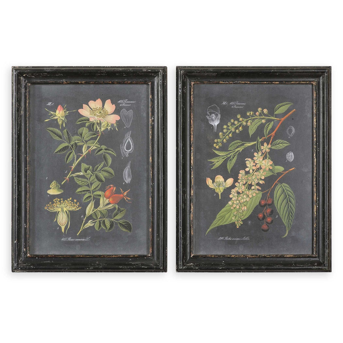 UTTERMOST WALL ART - Art