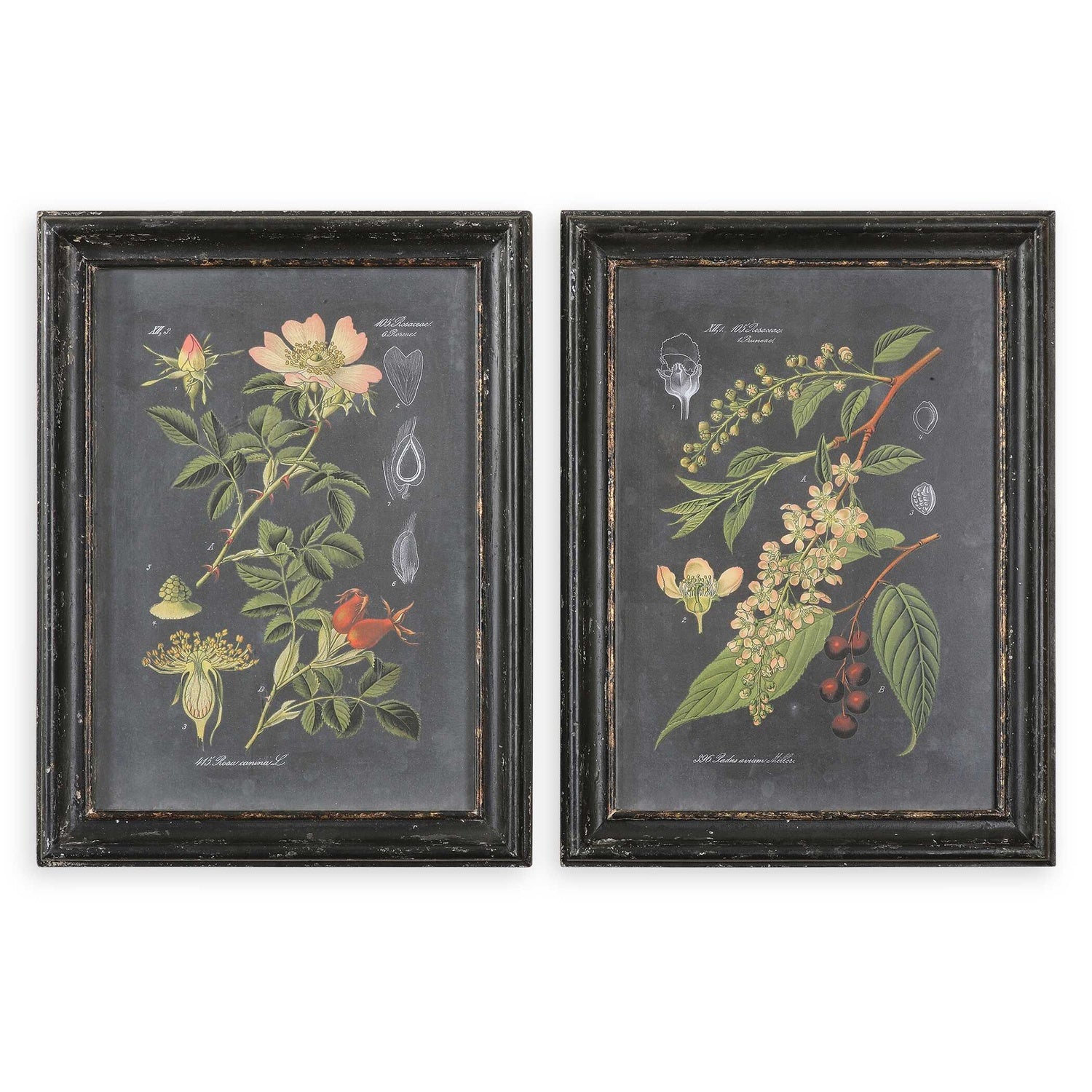 UTTERMOST WALL ART - Art