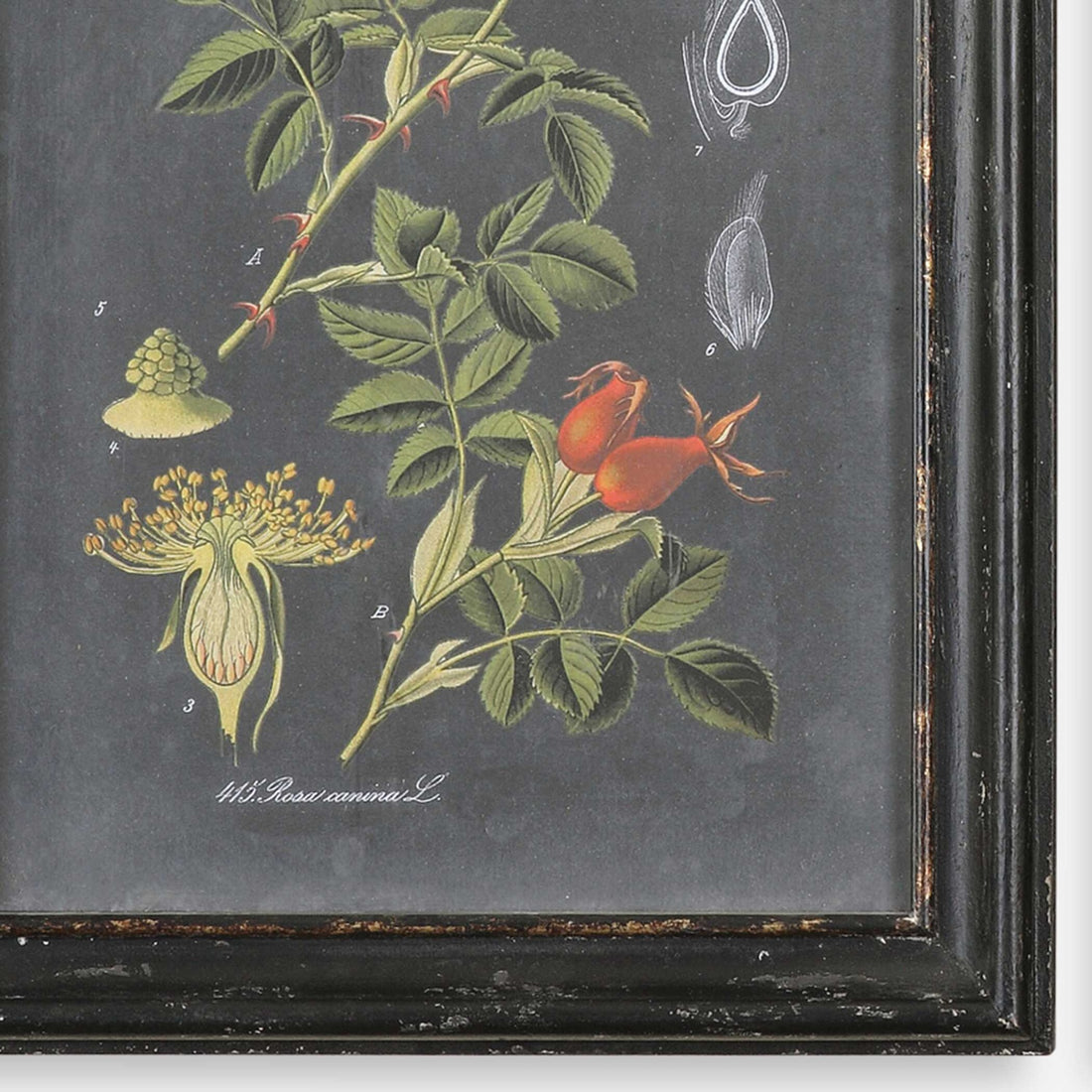 UTTERMOST Wall Art Set Of 2 - Art