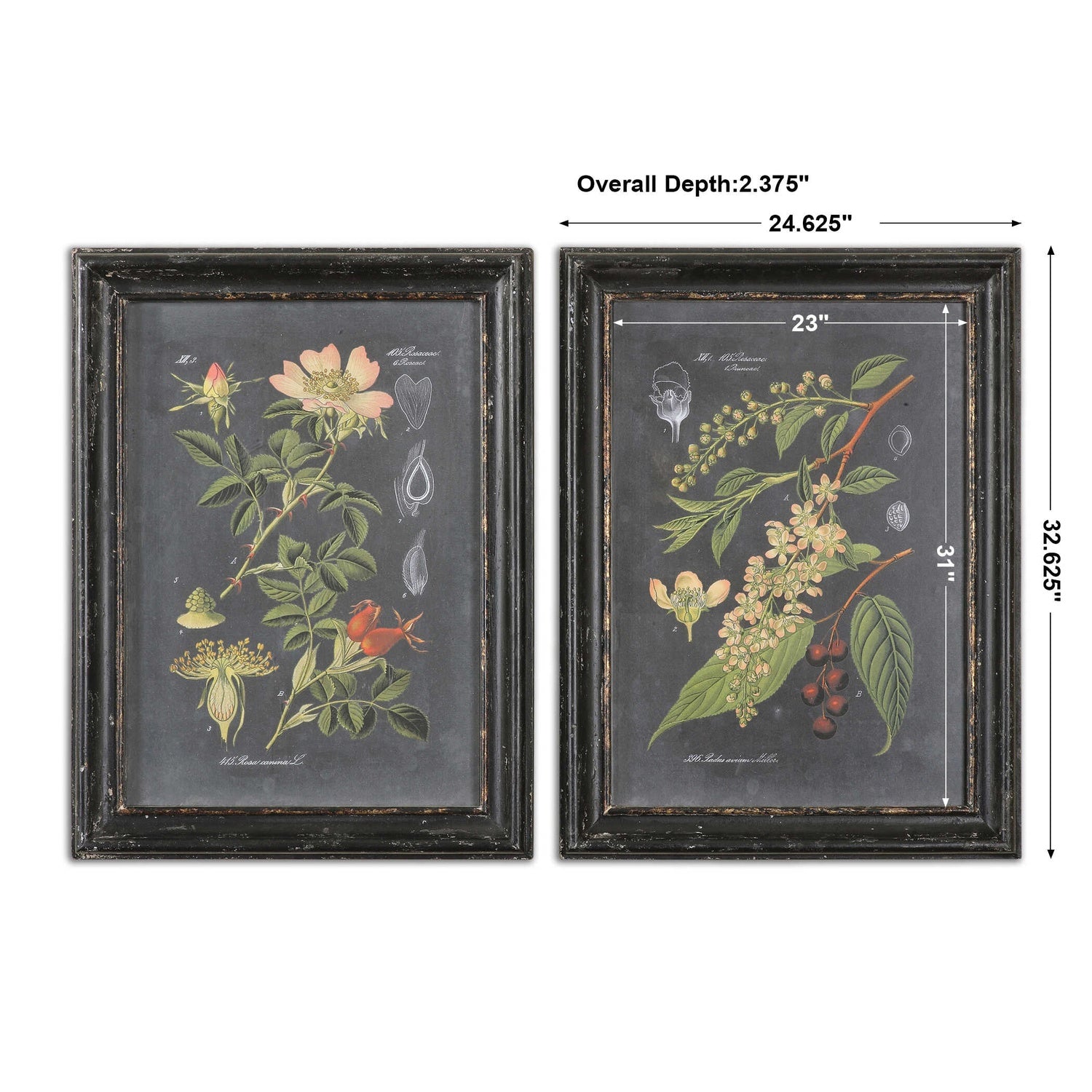 UTTERMOST Wall Art Set Of 2 - Art