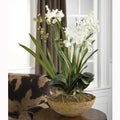 UTTERMOST Moth Orchid Planter - Decorative Accents