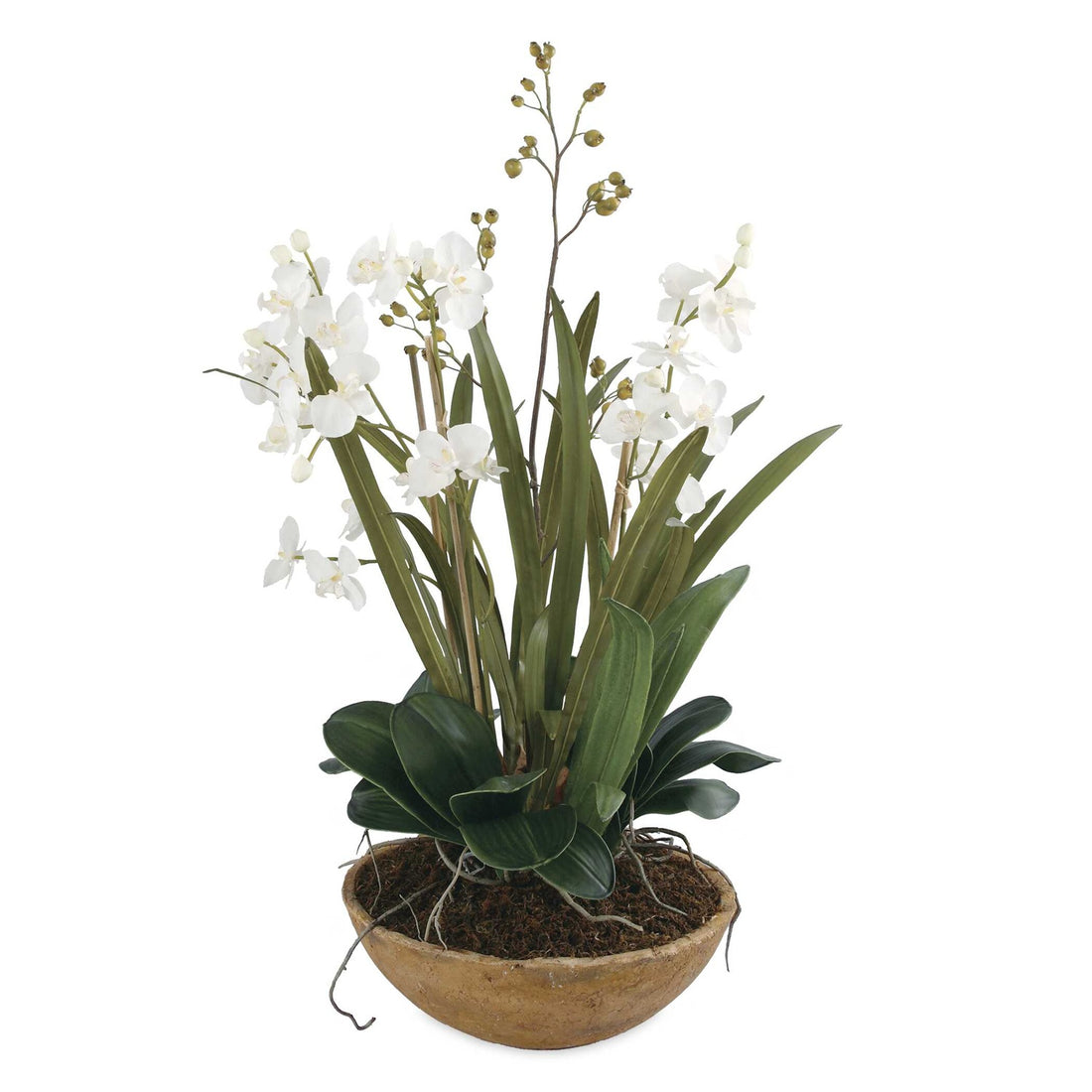UTTERMOST Moth Orchid Planter - Decorative Accents