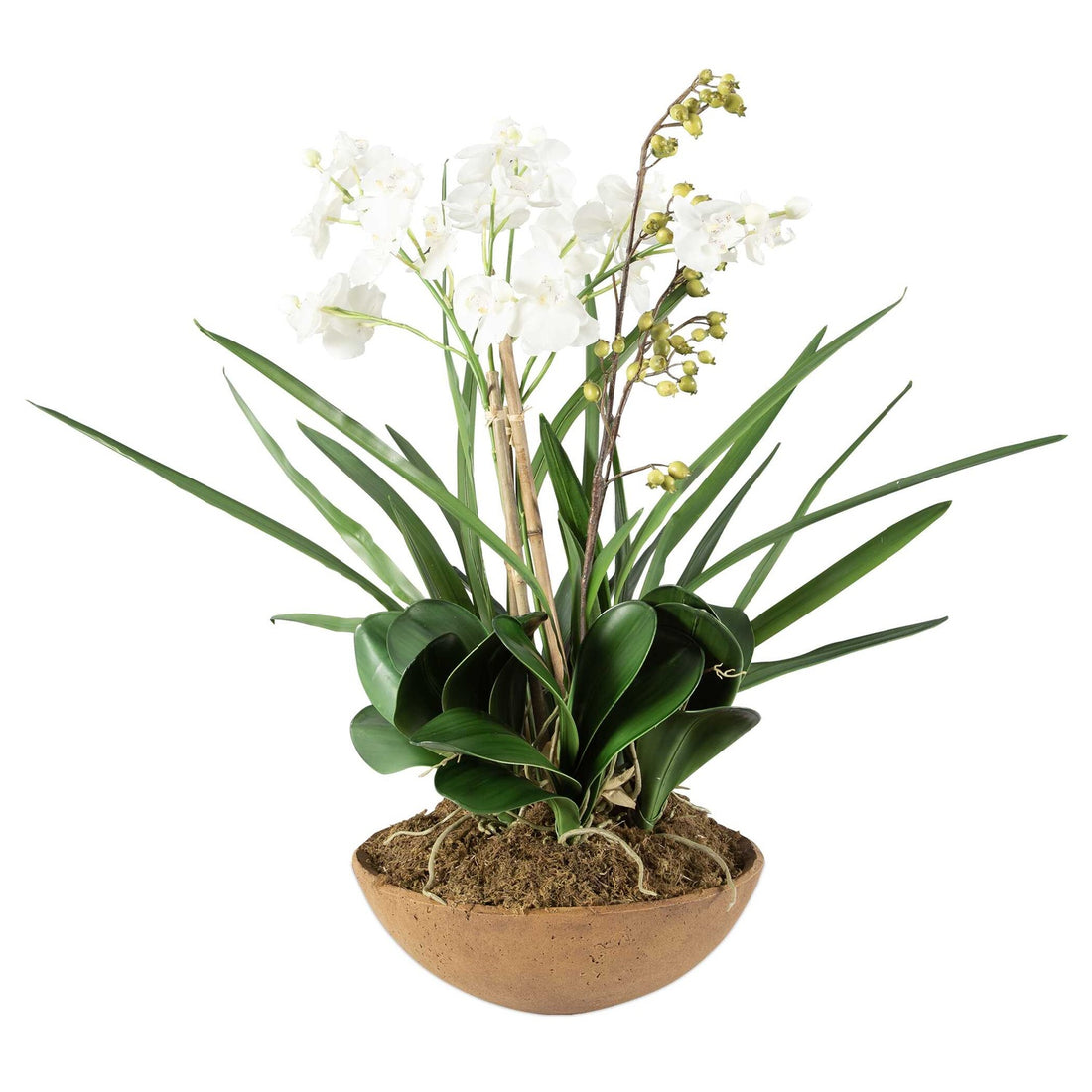 UTTERMOST Moth Orchid Planter - Decorative Accents