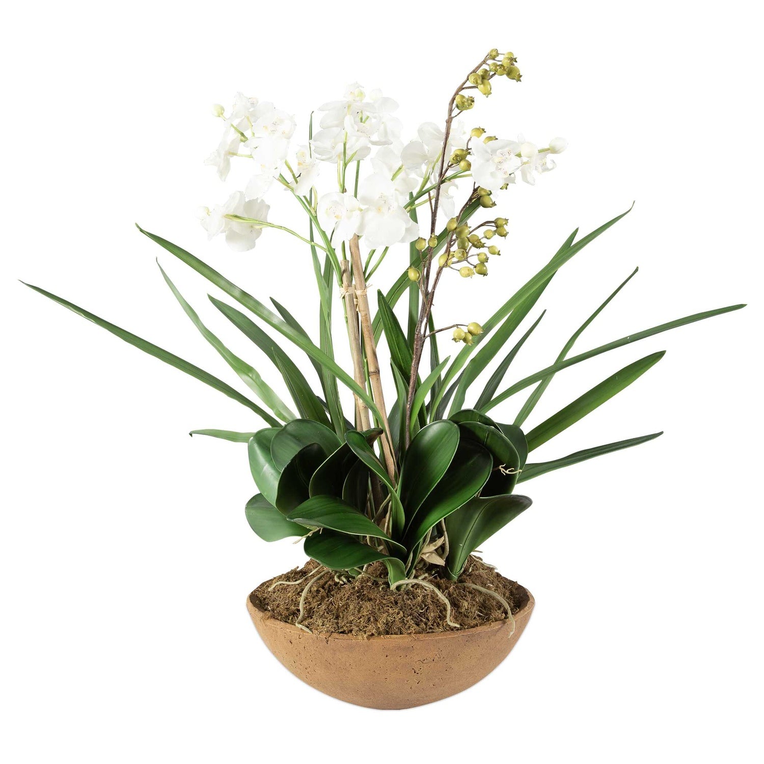 UTTERMOST Moth Orchid Planter - Decorative Accents