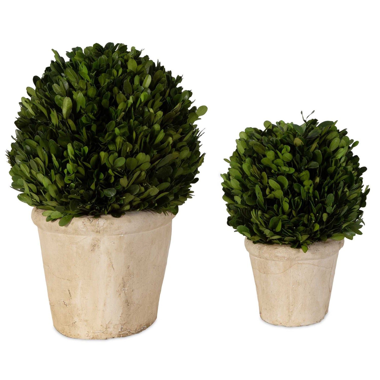 UTTERMOST OVAL DOMES PRESERVED - Decorative Accents